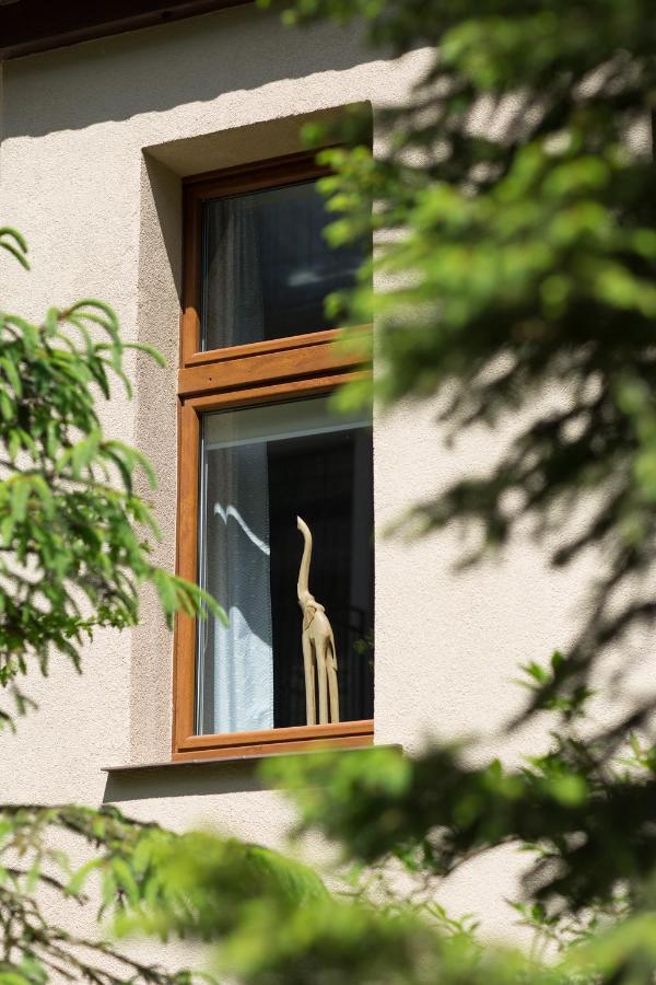 Villa Solis 斯维诺乌伊希切 外观 照片
